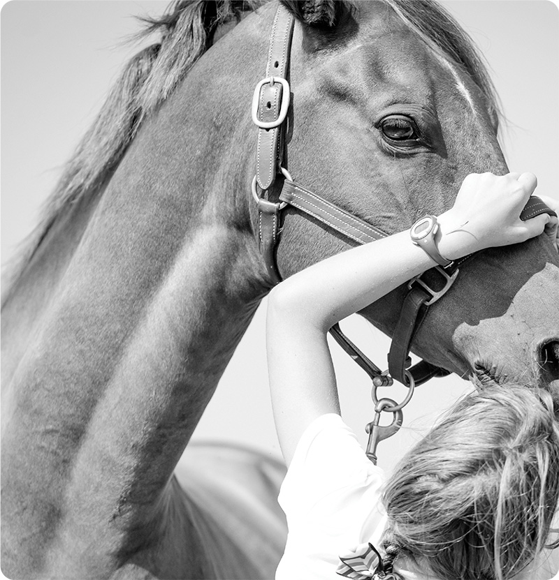 A person gently holding a horse's face, with the horse wearing a bridle, in a close-up black-and-white image.